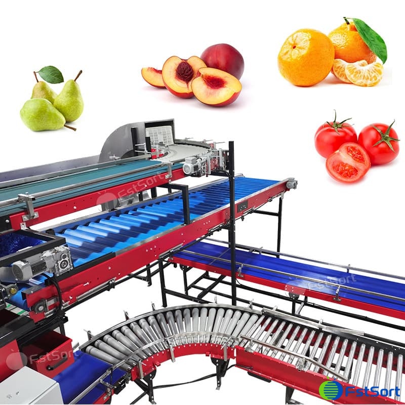 images/1769570899247citrus 5.jpg